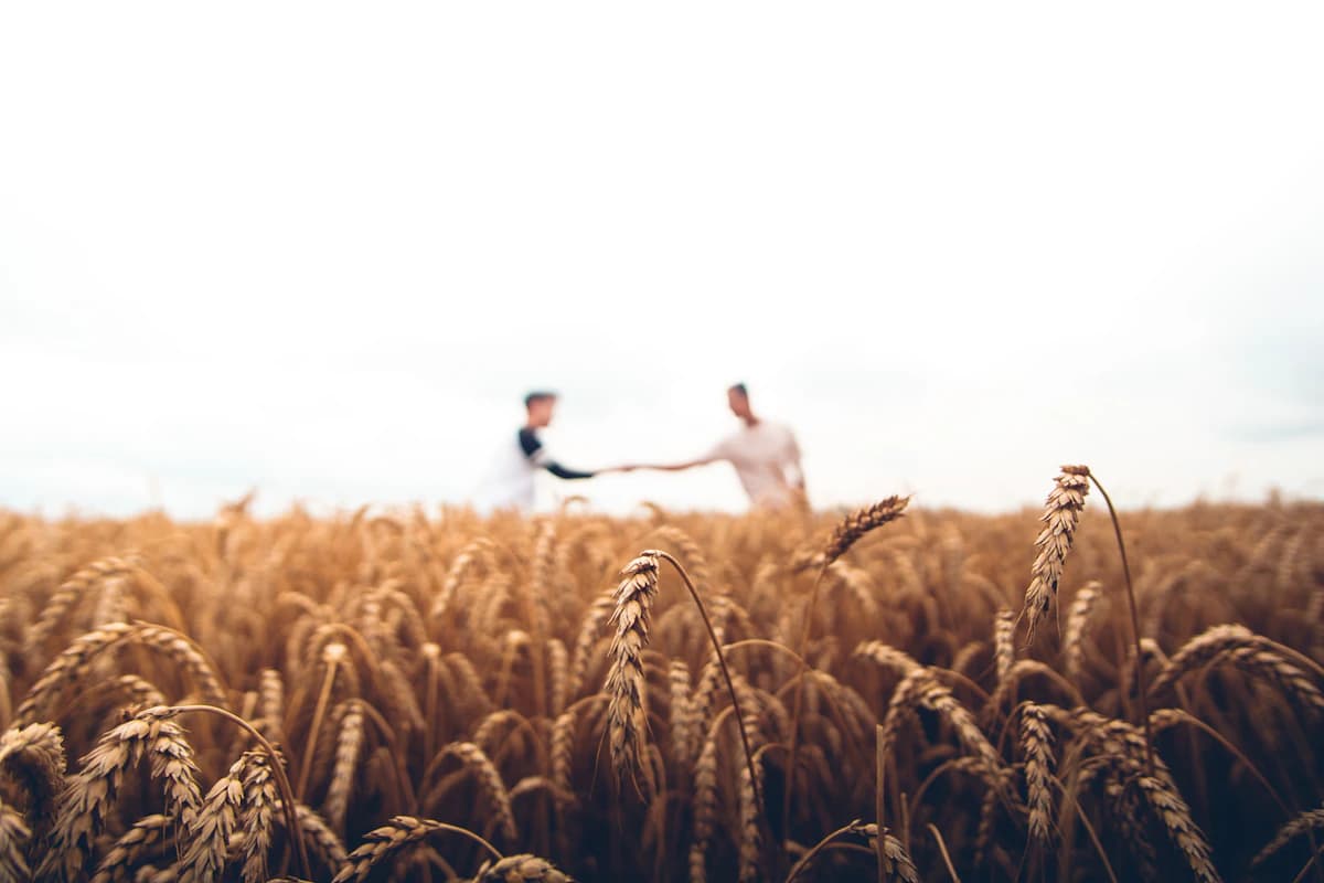 Two farmers shaking hands in a golden wheat field